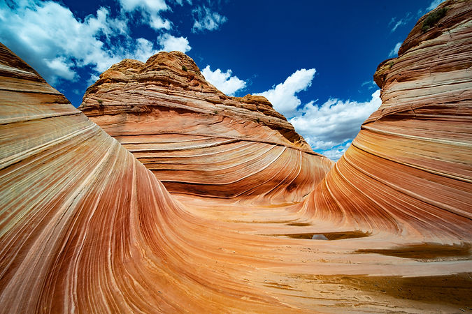 Image by Robert Baker