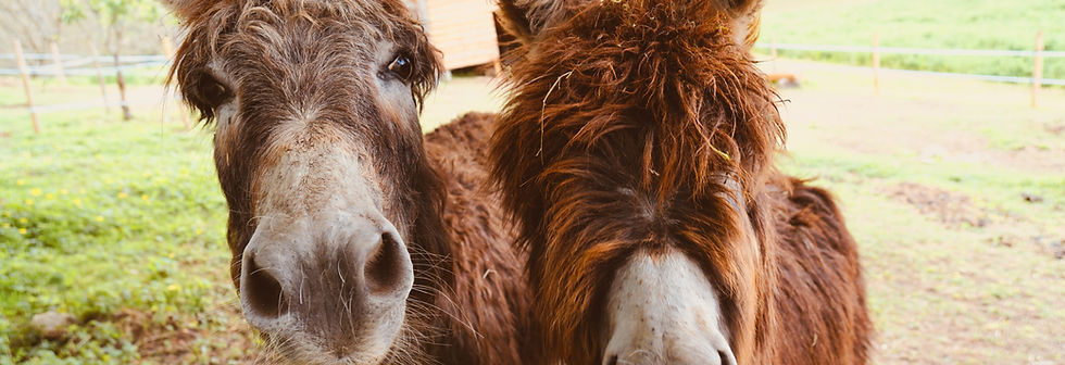 Image by Erwan Hesry