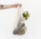 Image by Sylvie Tittel