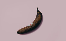 Image by Charles Deluvio