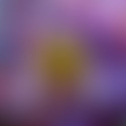 What happened to World's once largest Crypto-exchange - The Mt. Gox Story