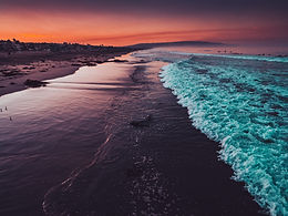 Image by Xan Griffin