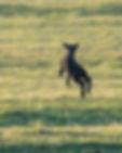 Image by Jonathan Mabey