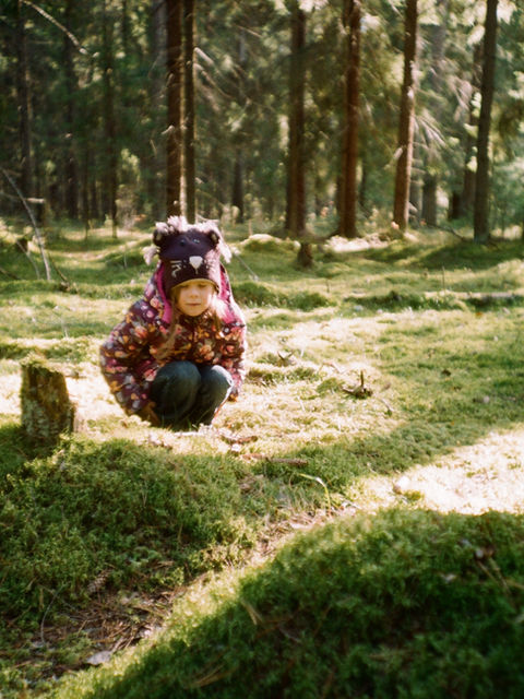 THE FAIRIES IN THE GARDEN — smell, memory, and inner child sanctuaries
