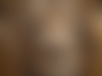 The Lion (Panthera leo)