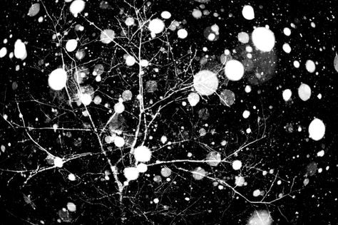 The Connection Between Emotions and Stress