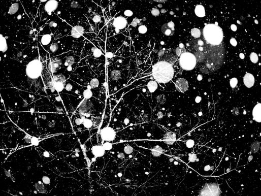The Connection Between Emotions and Stress