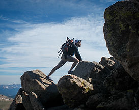Image by Brad Barmore