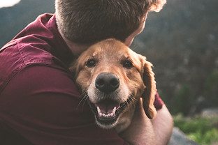 Hugging Dog