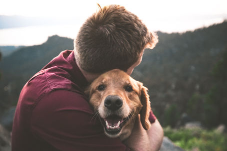 A person in a red shirt hugs a smiling golden retriever outdoors at sunset, with a blurred mountain landscape in the background.
