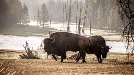 Top 10 National Parks for Seniors: Experience the Majestic Beauty of Nature