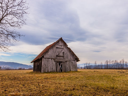 Image by Markus Petritz