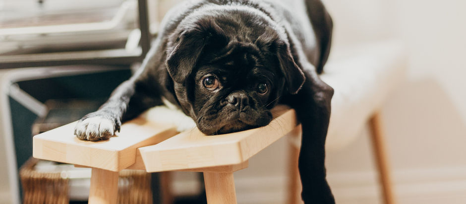 Is it “Laziness” or ADHD?