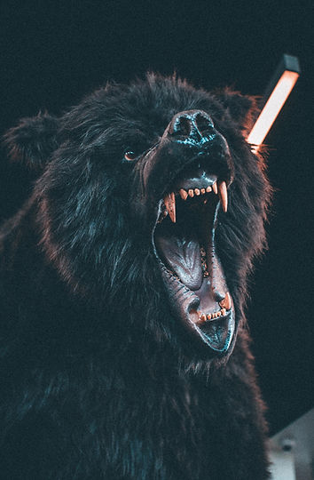 Image by Andre Tan