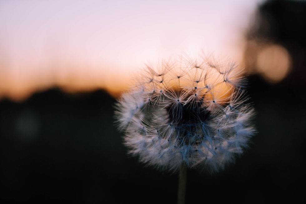 It Takes Practice Counselling Red Deer 