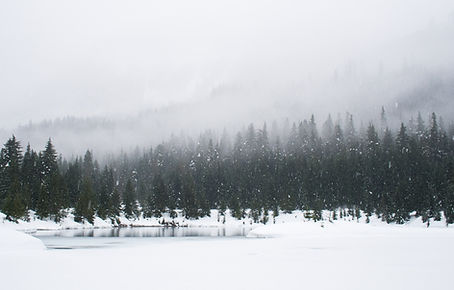 Image by Adam Chang