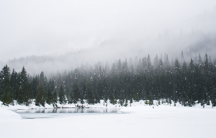 Image by Adam Chang