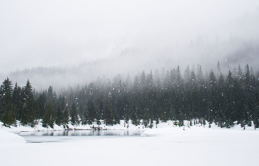 Image by Adam Chang