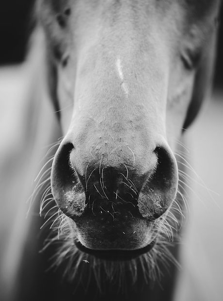 Image by Vincent Botta