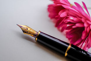 Favourite Fountain Pen