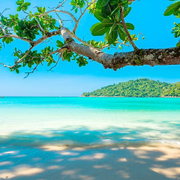 More Society Islands & Tahiti