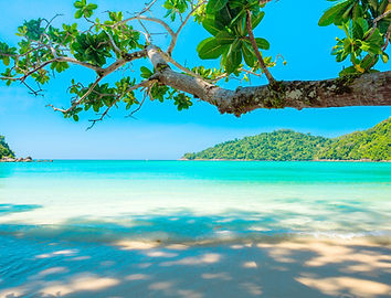 Image by dharmendra sahu