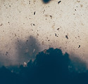 Image by camilo jimenez