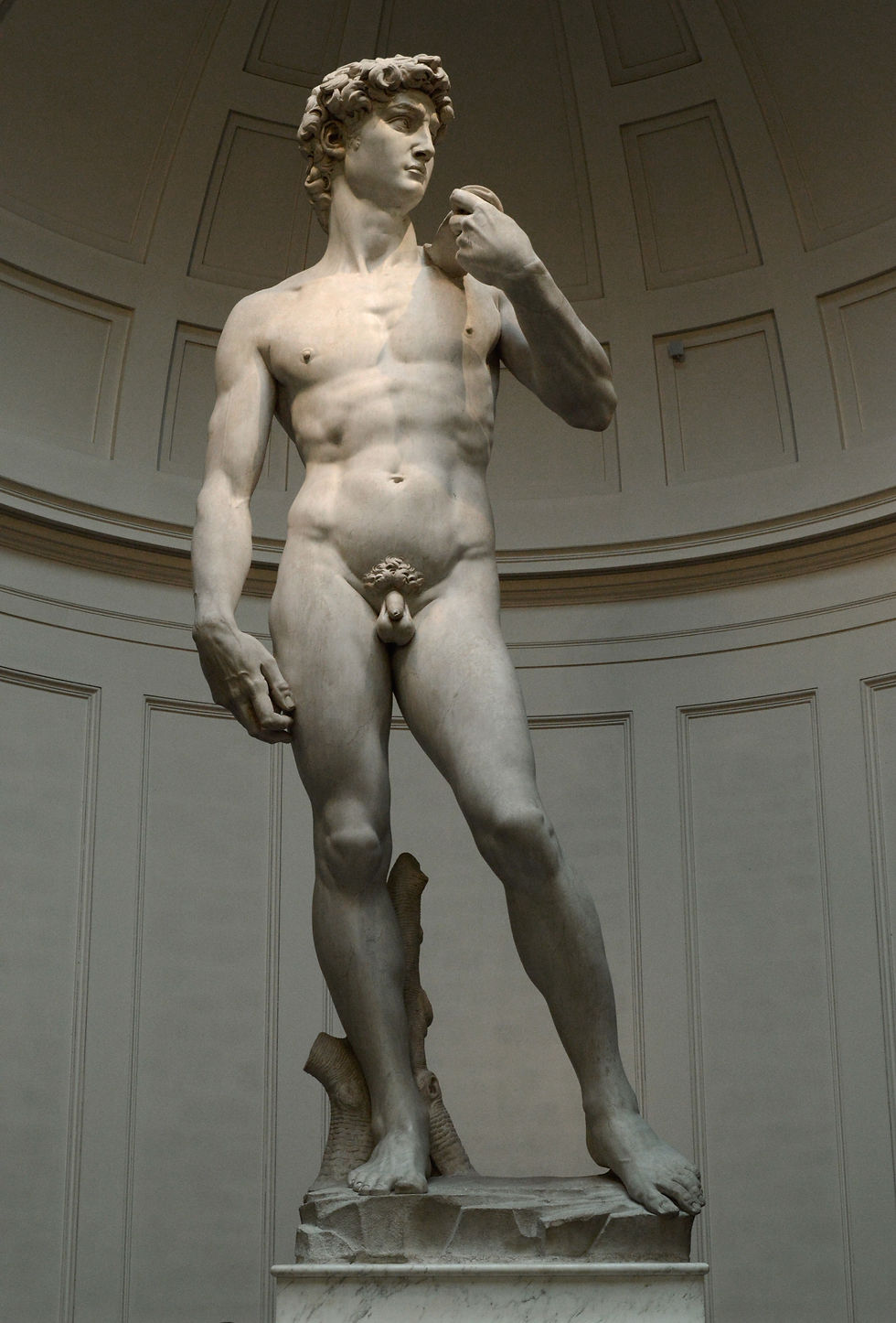 Michelangelo's David