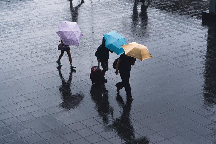 Image by Ryoji Iwata