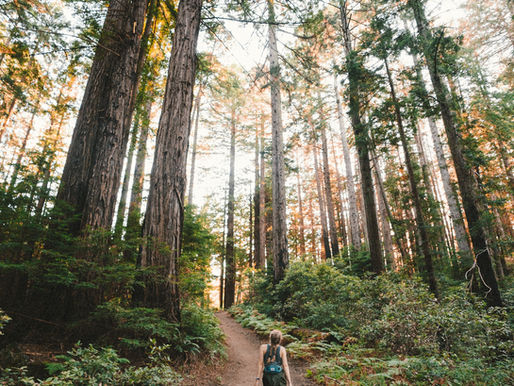 5 Tips for How to Make Your Wellness Practices Inclusive