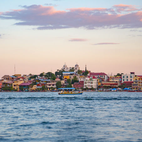 Que faire à Flores ?