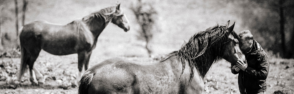 Image by dylan nolte