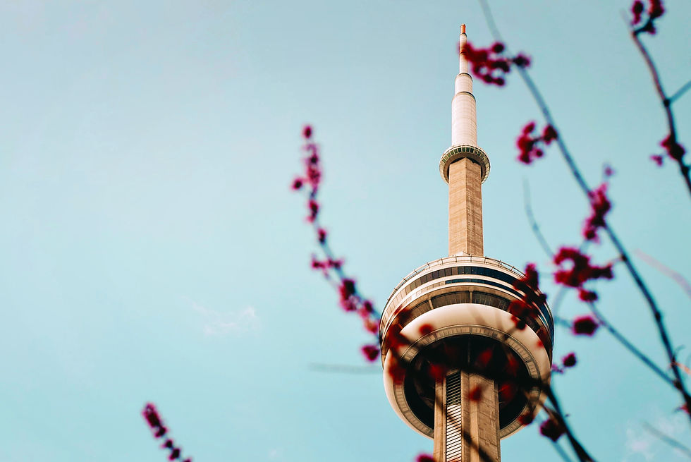 Image by Tim Gouw