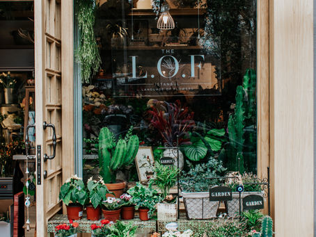 Why Your Plant Nursery or Garden Business Needs More Than a Logo - How to Define Your Brand Identity