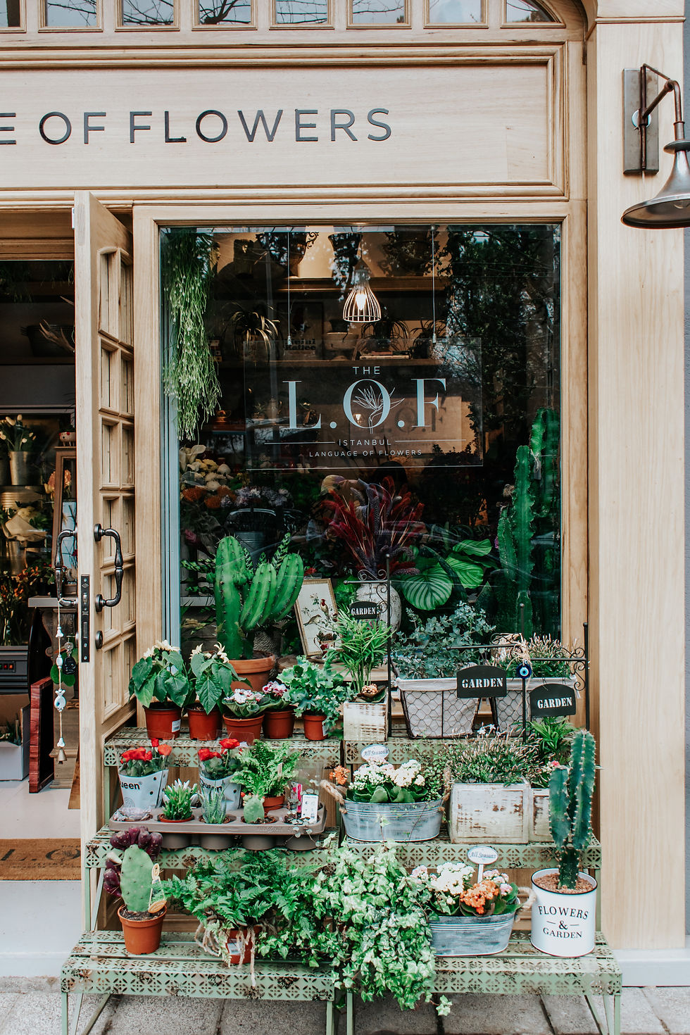 Why Your Plant Nursery or Garden Business Needs More Than a Logo - How to Define Your Brand Identity