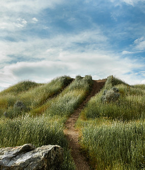 Image by Sean Musil