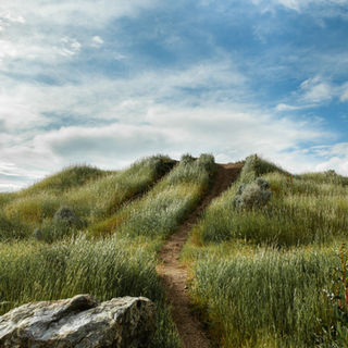 Dirt trail and tall grass beneath a blue cloudy sky