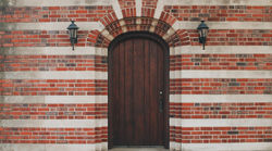 Image by Brianna Santellan