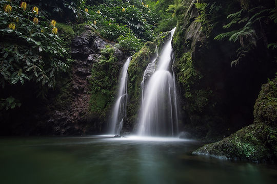 Image by Daniel Wallace