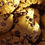 Thumbnail: Cookies