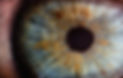 Iridiology