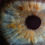 Thumbnail: Neurological Observations and the GCS