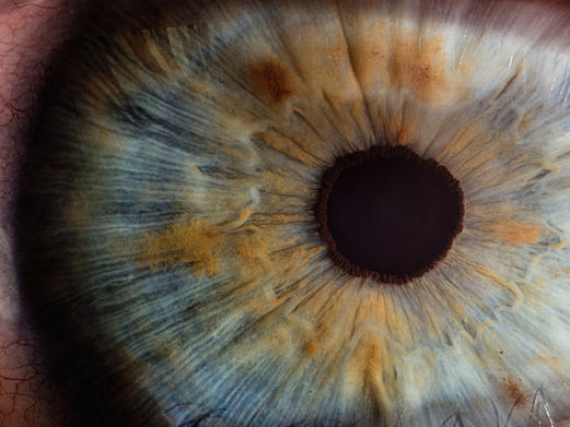 The Revolutionary Whole-Eye and Partial Face Transplant: Changing Lives in Arkansas
