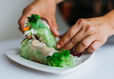 Lentil Lettuce Wrap