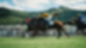 Planning a Charity Race Night: Ideas, Tips and Fundraising Strategies