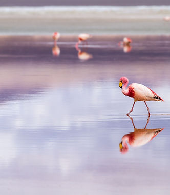 Image by Elizabeth Gottwald
