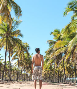 Image by ckturistando