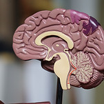 Neurology