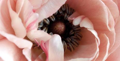 Image by Janine Joles