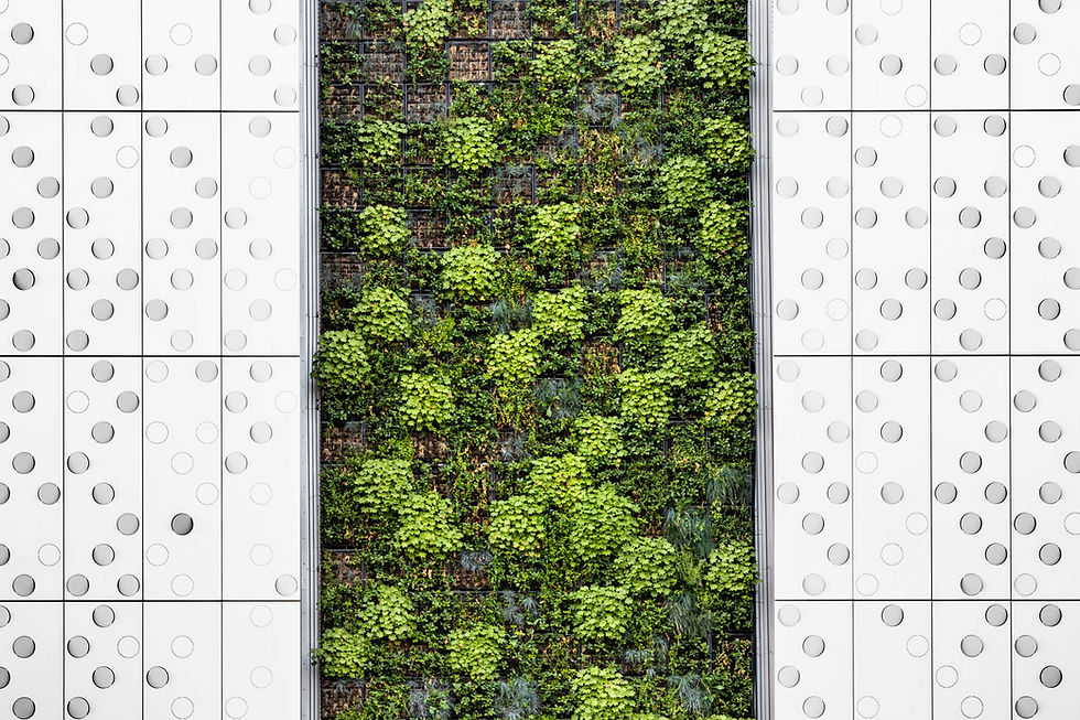 Natuurlijk Bouwen met Studio WeBuild